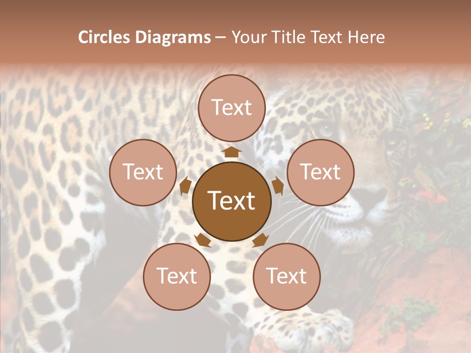 Cat Park Exotic PowerPoint Template