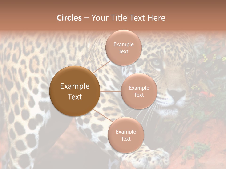 Cat Park Exotic PowerPoint Template