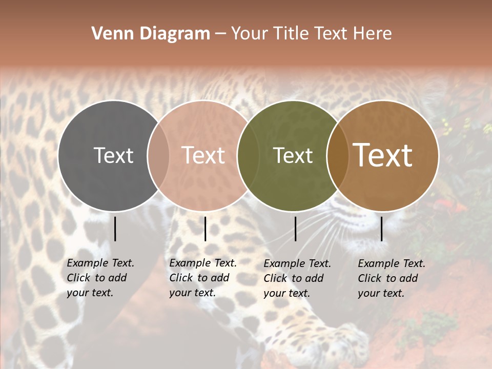 Cat Park Exotic PowerPoint Template