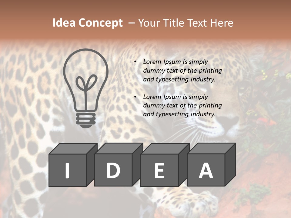 Cat Park Exotic PowerPoint Template