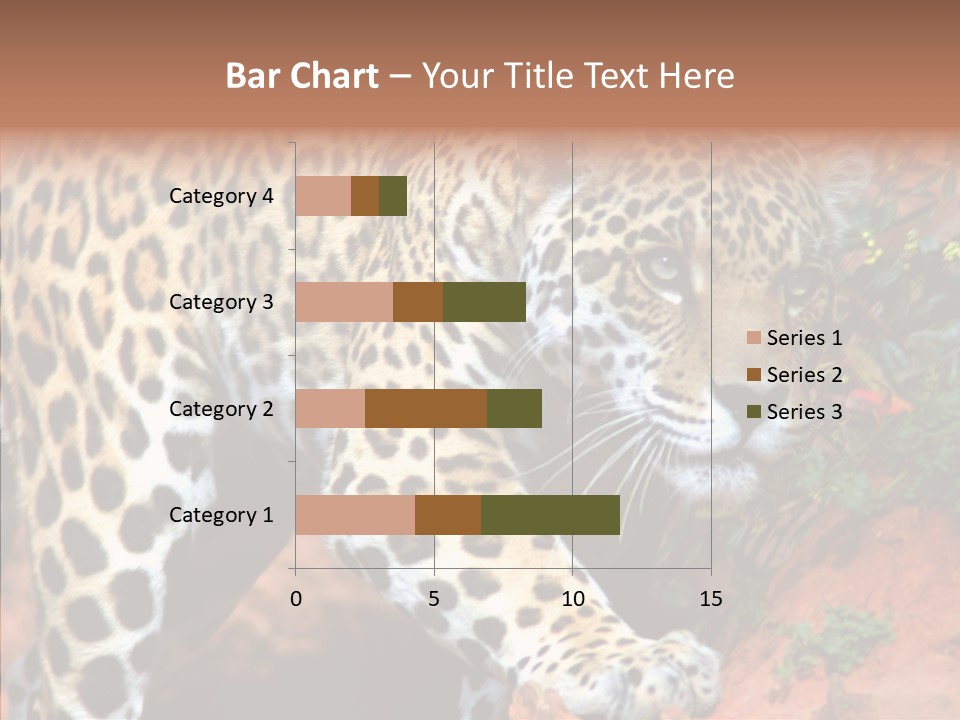 Cat Park Exotic PowerPoint Template