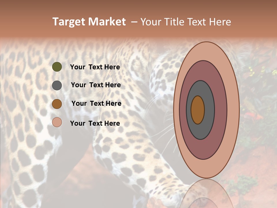 Cat Park Exotic PowerPoint Template
