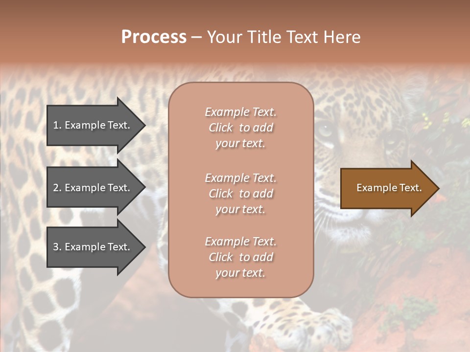 Cat Park Exotic PowerPoint Template