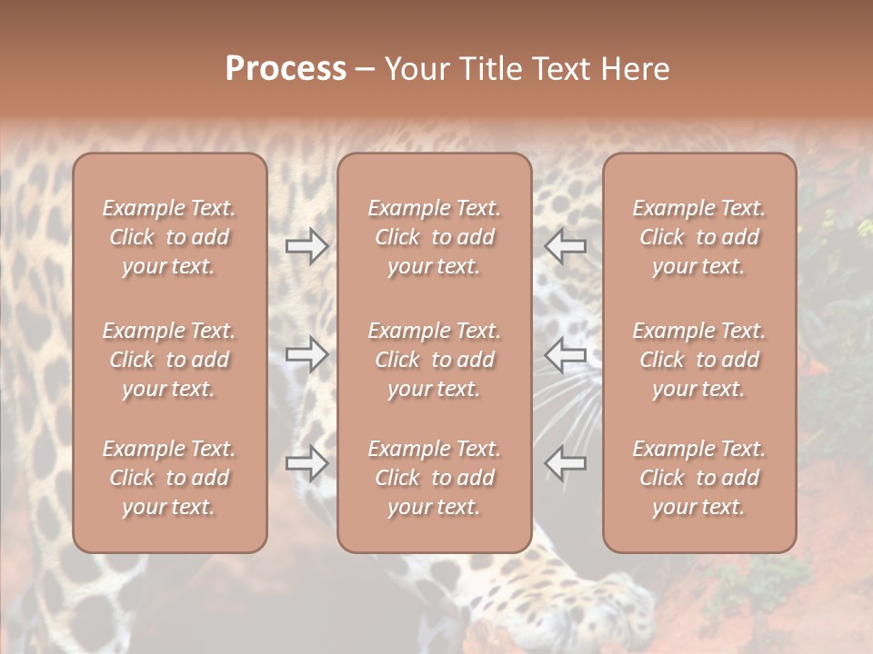 Cat Park Exotic PowerPoint Template