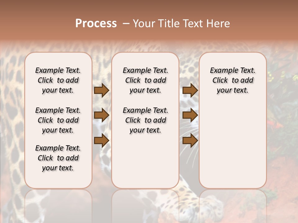 Cat Park Exotic PowerPoint Template