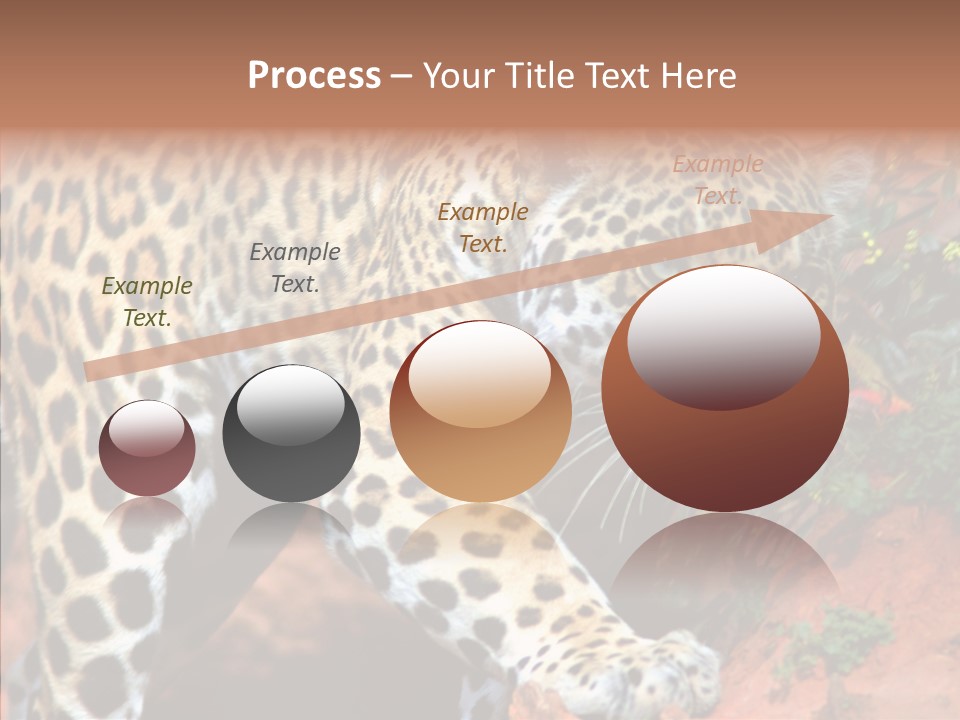 Cat Park Exotic PowerPoint Template