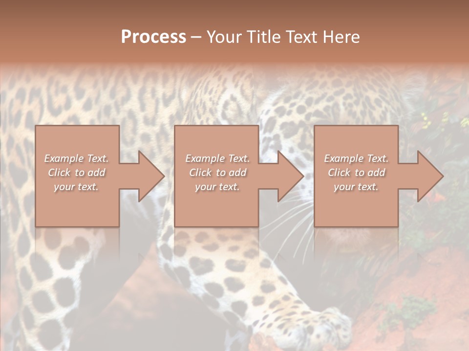 Cat Park Exotic PowerPoint Template