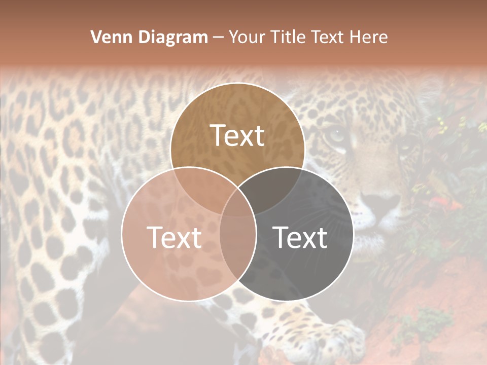 Cat Park Exotic PowerPoint Template