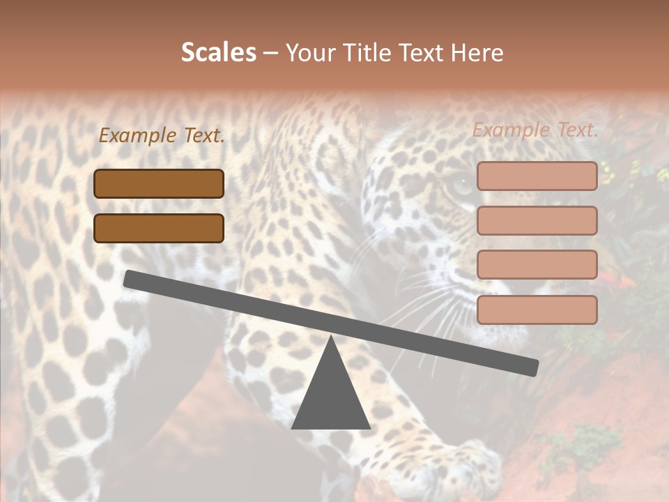 Cat Park Exotic PowerPoint Template