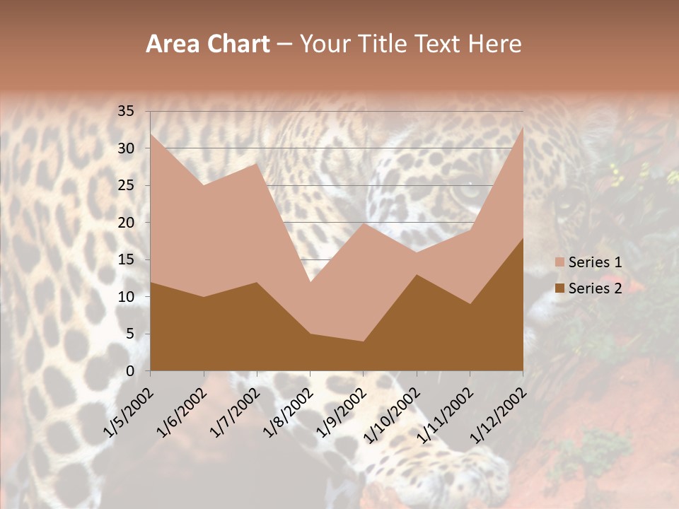 Cat Park Exotic PowerPoint Template