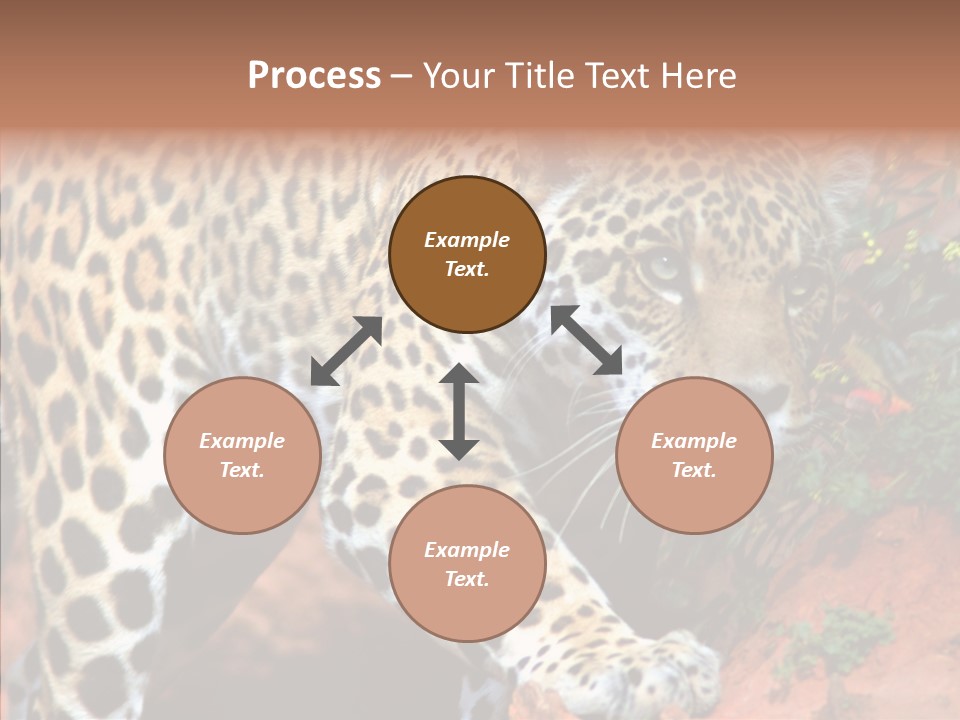 Cat Park Exotic PowerPoint Template