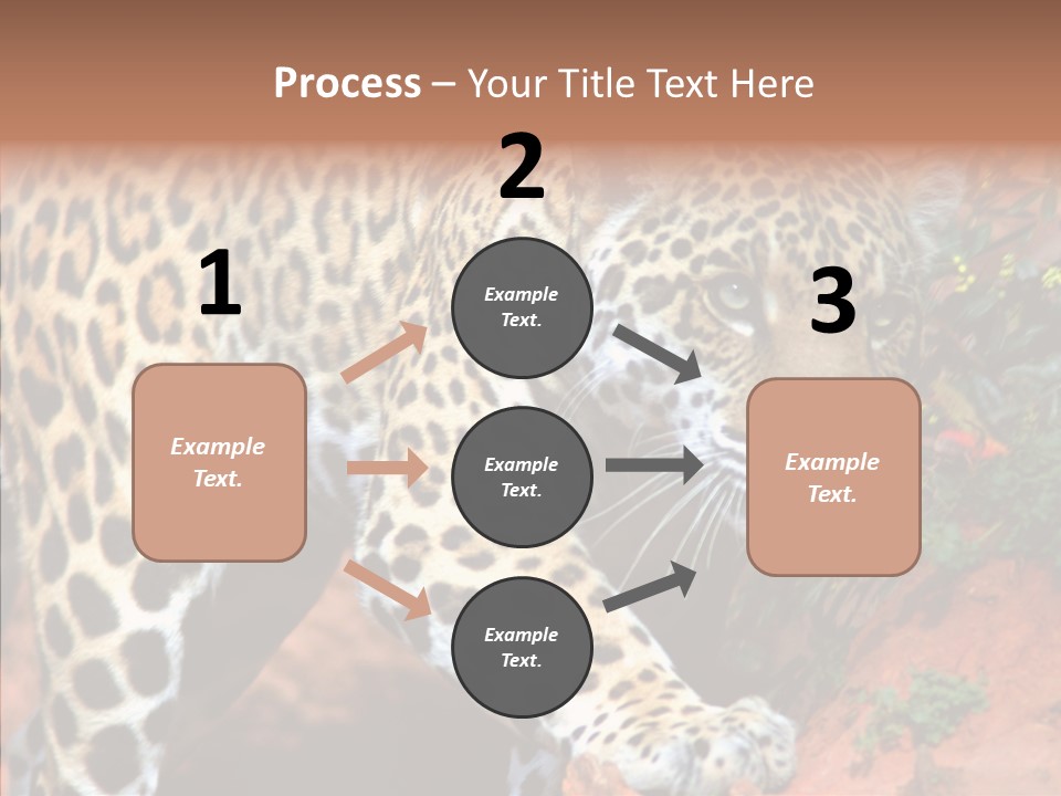Cat Park Exotic PowerPoint Template