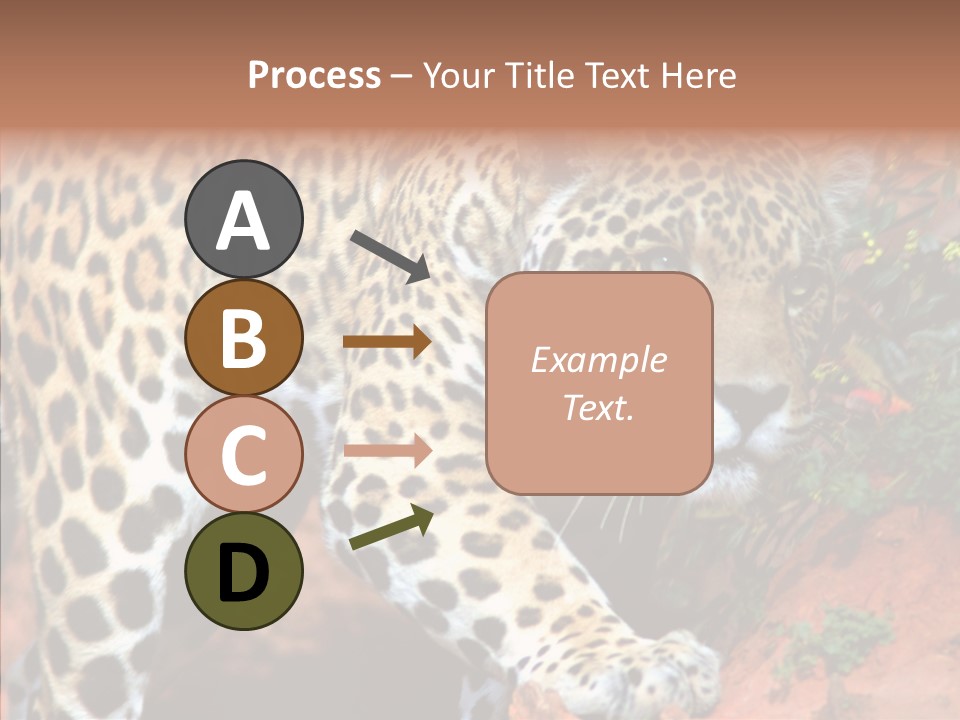 Cat Park Exotic PowerPoint Template