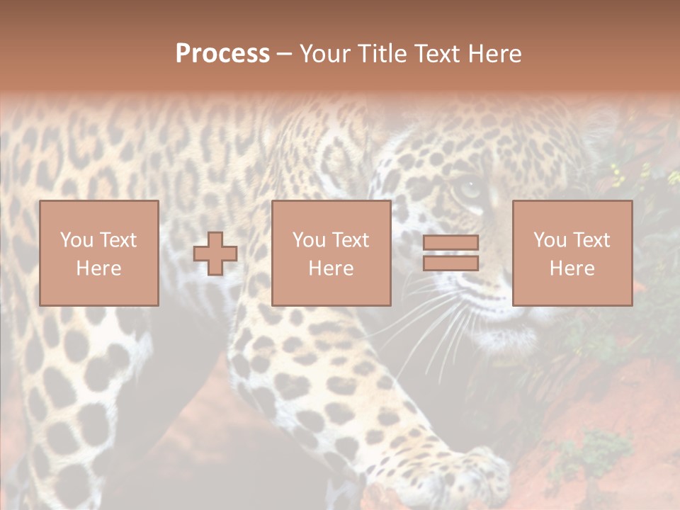 Cat Park Exotic PowerPoint Template