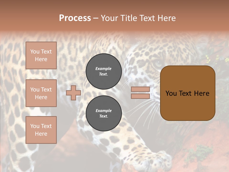 Cat Park Exotic PowerPoint Template