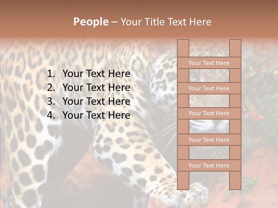 Cat Park Exotic PowerPoint Template