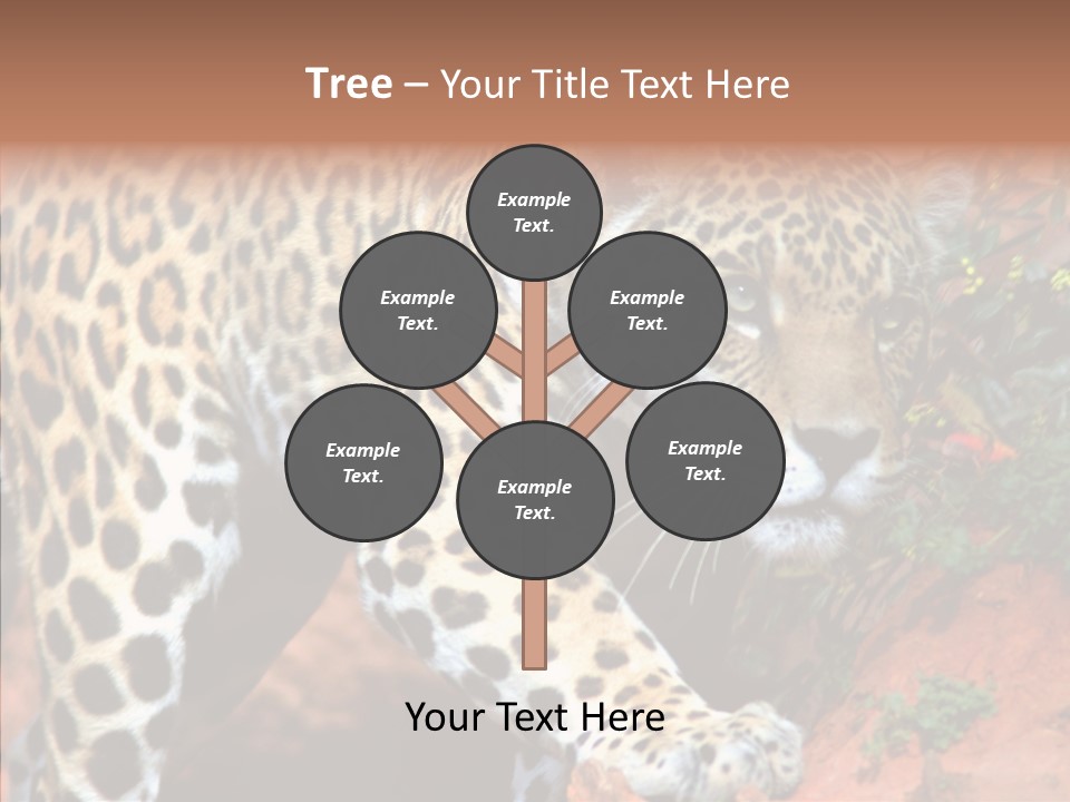Cat Park Exotic PowerPoint Template