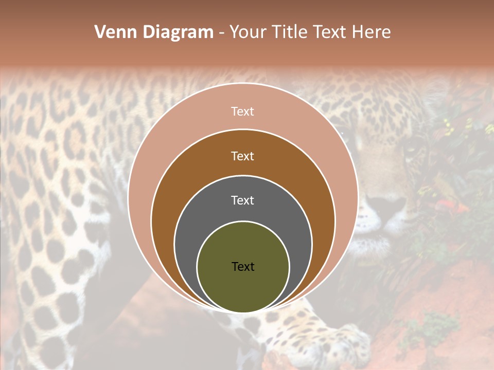 Cat Park Exotic PowerPoint Template