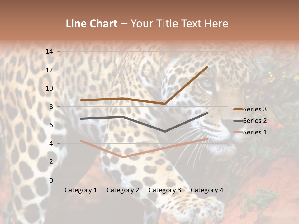 Cat Park Exotic PowerPoint Template