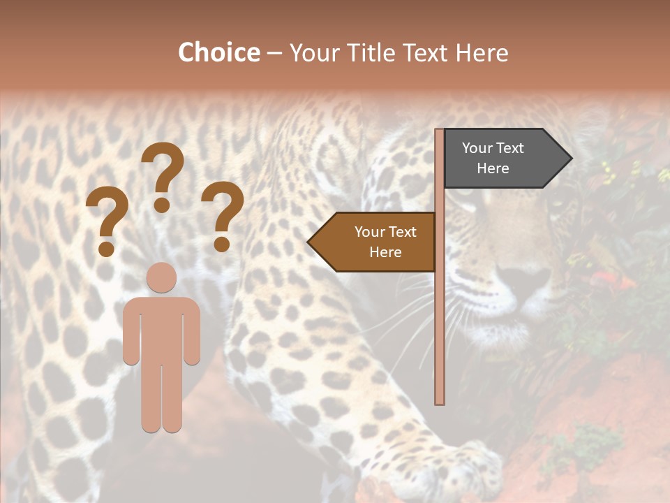 Cat Park Exotic PowerPoint Template