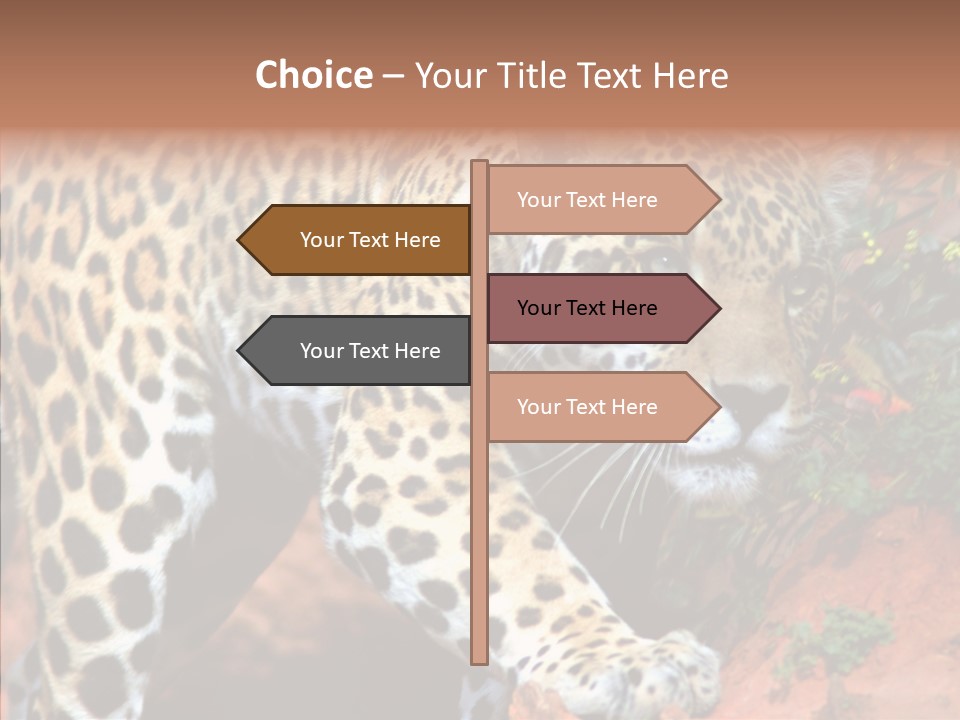 Cat Park Exotic PowerPoint Template
