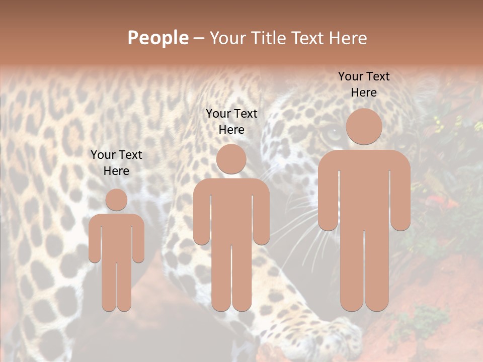 Cat Park Exotic PowerPoint Template