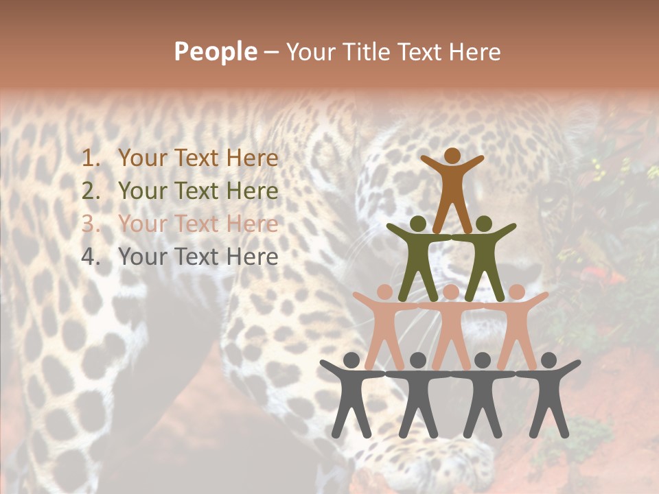 Cat Park Exotic PowerPoint Template