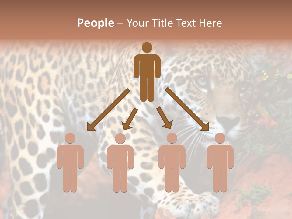 Cat Park Exotic PowerPoint Template