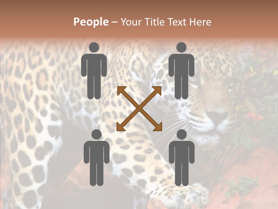 Cat Park Exotic PowerPoint Template