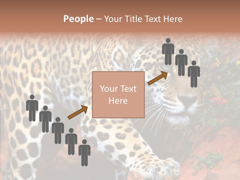 Cat Park Exotic PowerPoint Template
