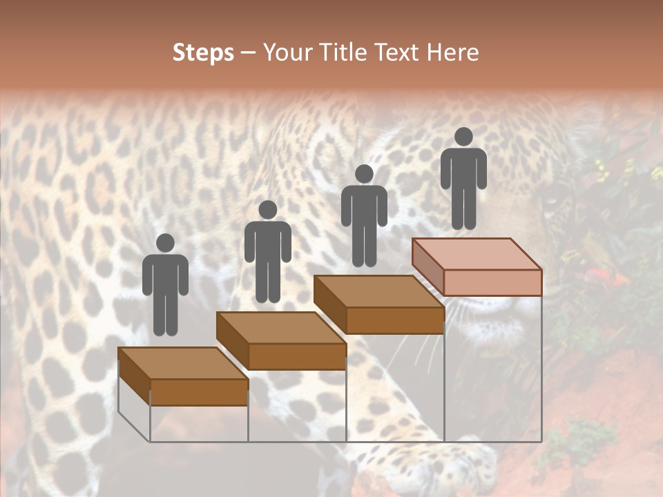 Cat Park Exotic PowerPoint Template