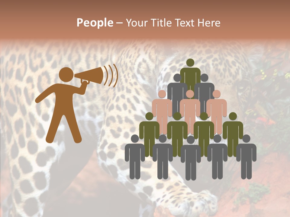 Cat Park Exotic PowerPoint Template