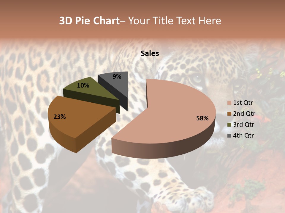 Cat Park Exotic PowerPoint Template