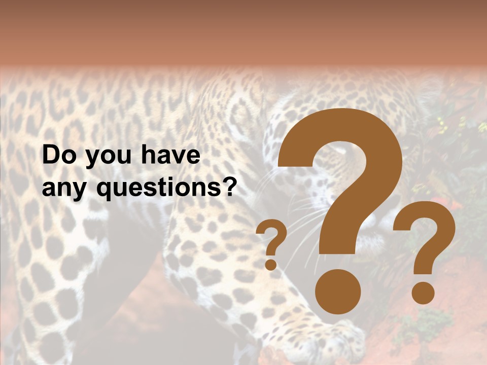 Cat Park Exotic PowerPoint Template