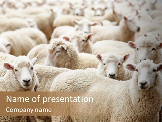 Farm Crowd Farming PowerPoint Template