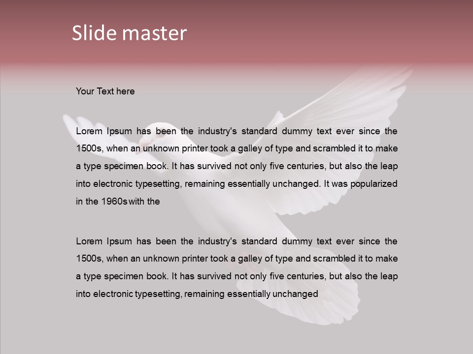 White Peace Free Flying PowerPoint Template