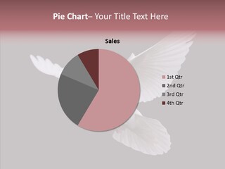 White Peace Free Flying PowerPoint Template