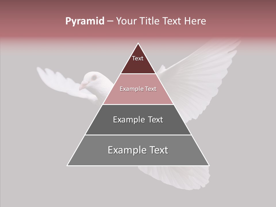 White Peace Free Flying PowerPoint Template