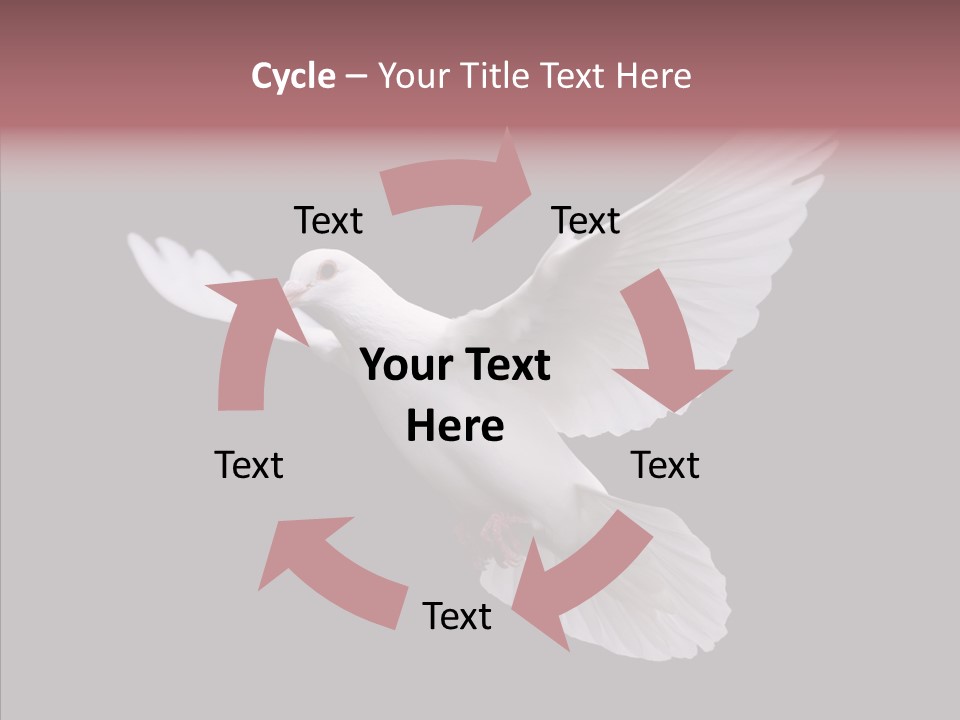 White Peace Free Flying PowerPoint Template