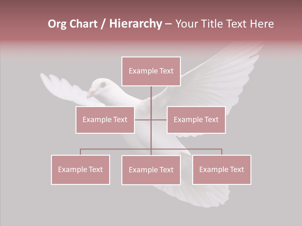 White Peace Free Flying PowerPoint Template