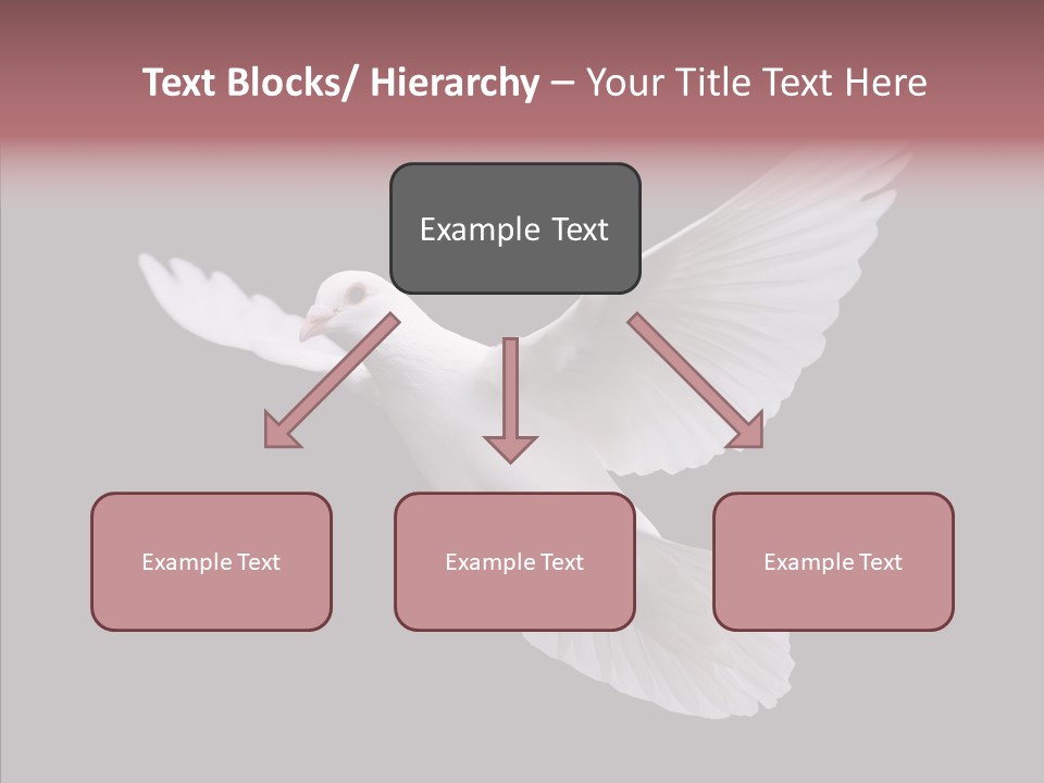 White Peace Free Flying PowerPoint Template