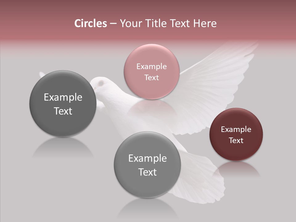 White Peace Free Flying PowerPoint Template