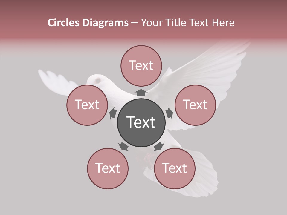 White Peace Free Flying PowerPoint Template