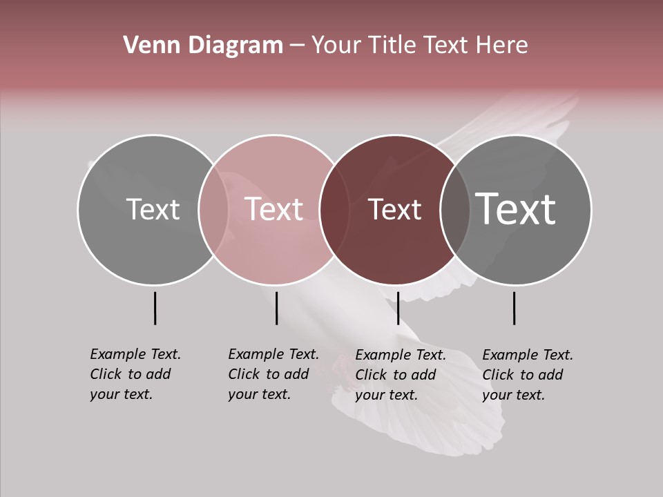 White Peace Free Flying PowerPoint Template