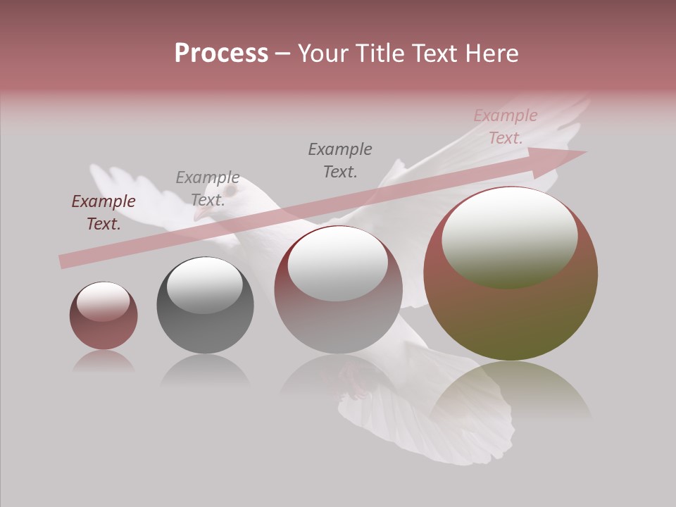 White Peace Free Flying PowerPoint Template