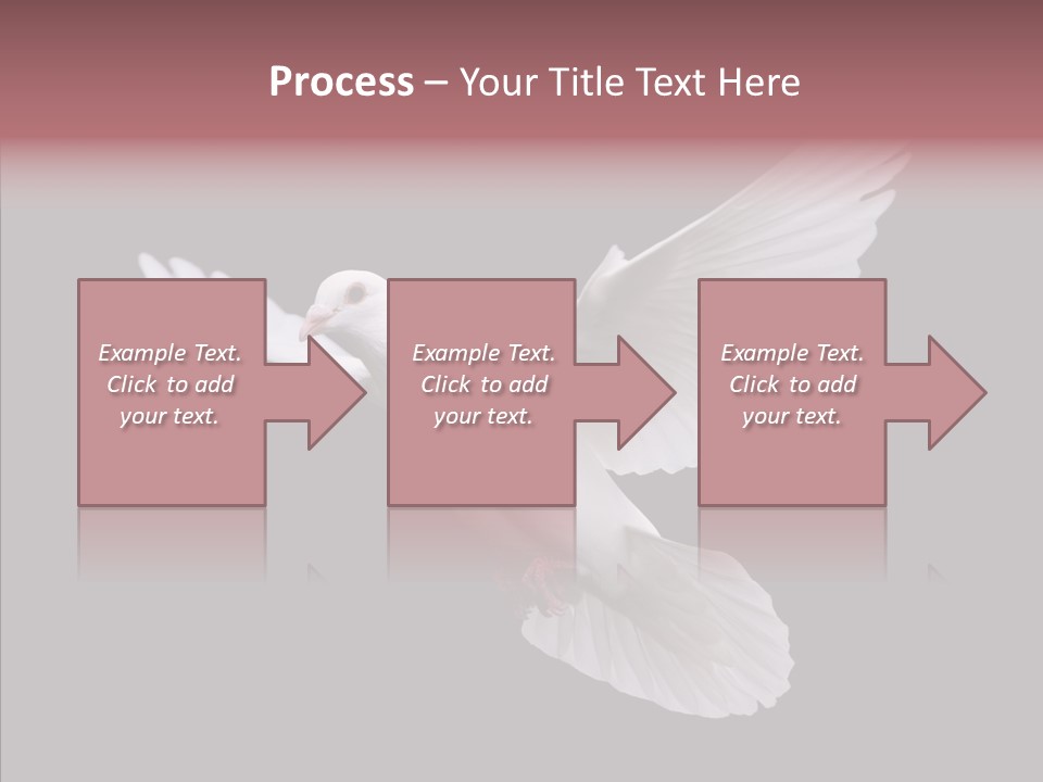 White Peace Free Flying PowerPoint Template