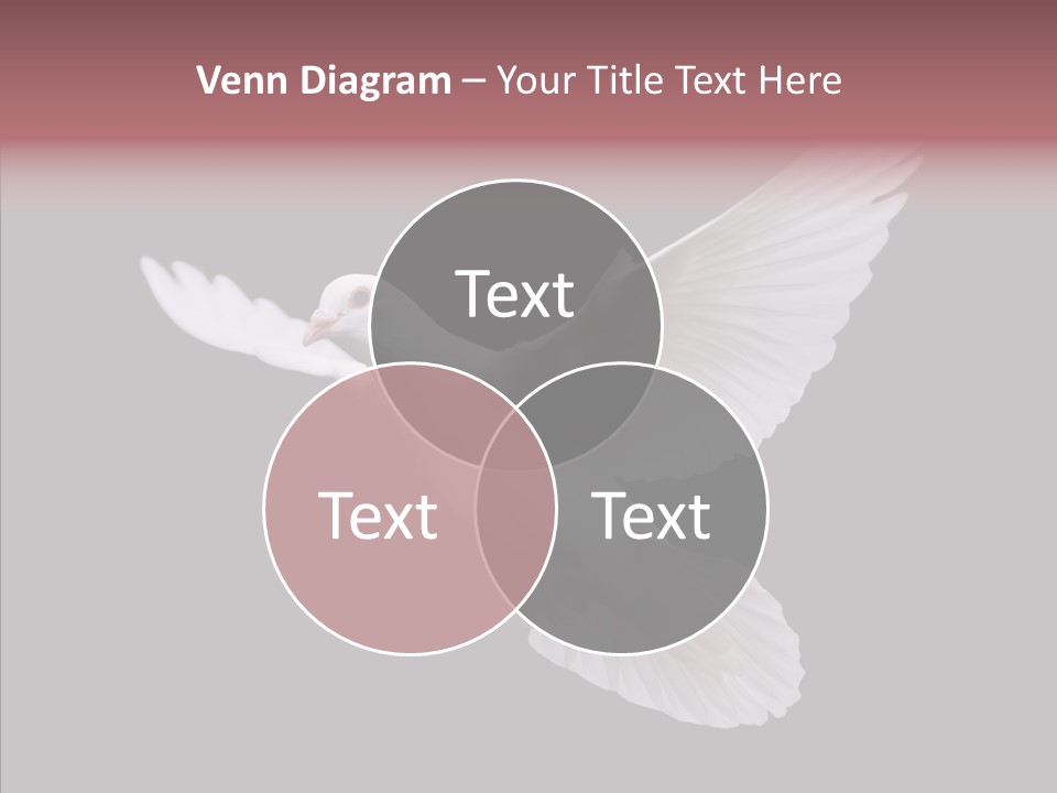 White Peace Free Flying PowerPoint Template