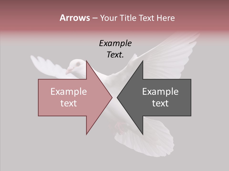 White Peace Free Flying PowerPoint Template