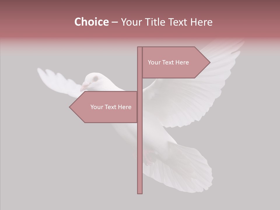 White Peace Free Flying PowerPoint Template