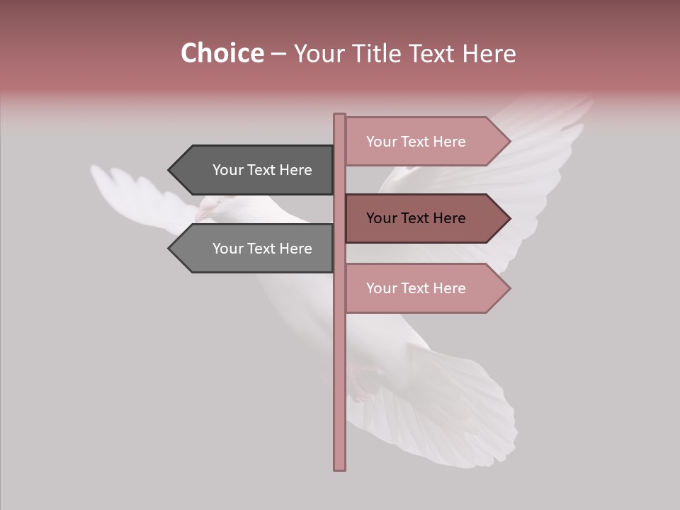 White Peace Free Flying PowerPoint Template